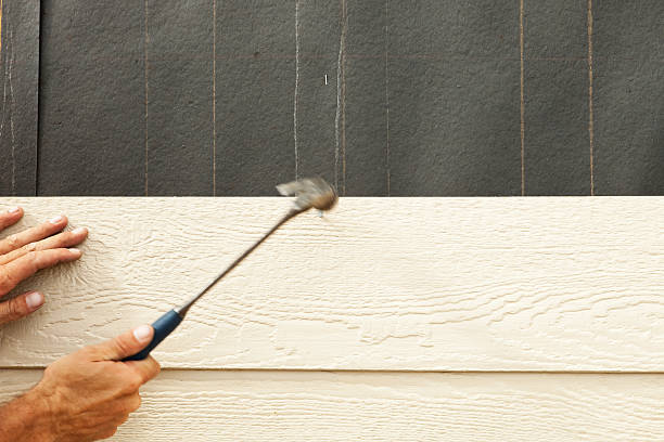 Best Stone Veneer Siding  in Lindale, GA